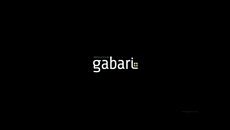 Gabari Ident